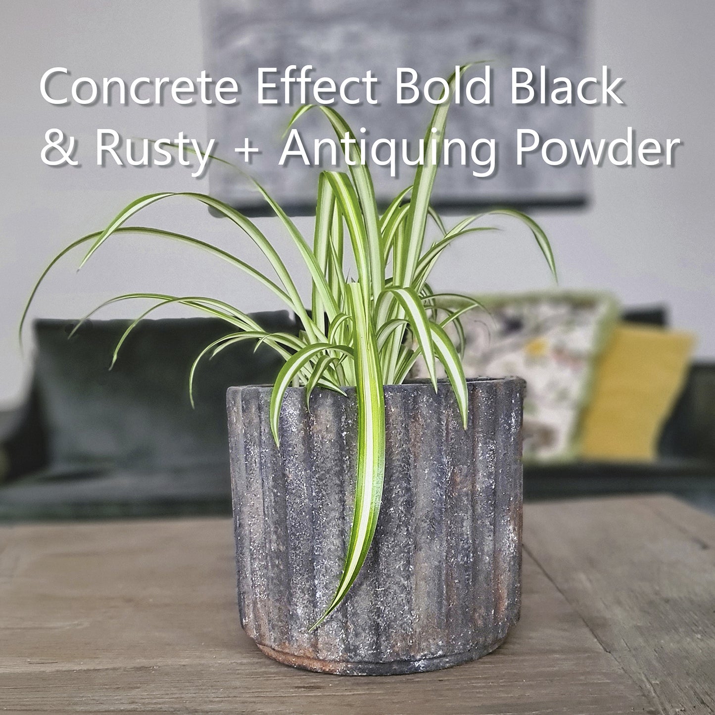 Pot in Bold Black Conrete Effect